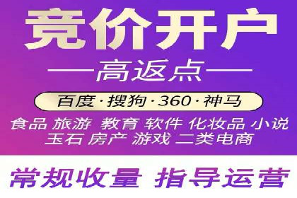 行业领先企业的信息流竞价策略揭秘